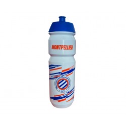 Gourde MHSC